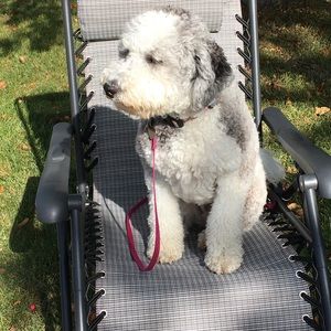 Meet your Posher, Richard